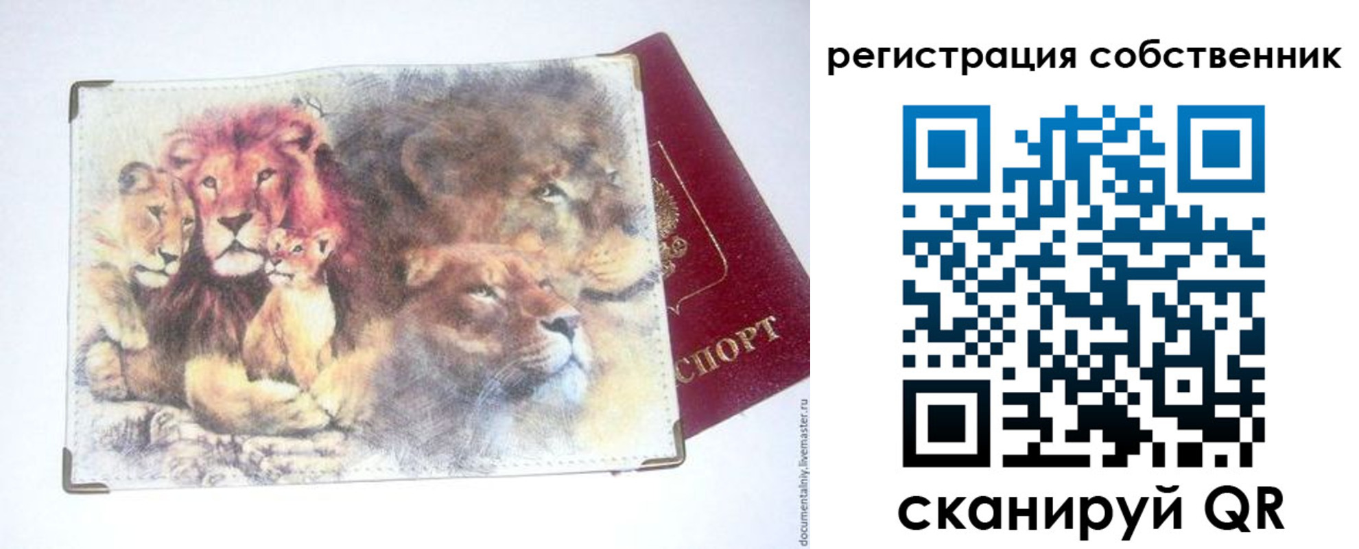 прописка для кредита в Новошахтинске